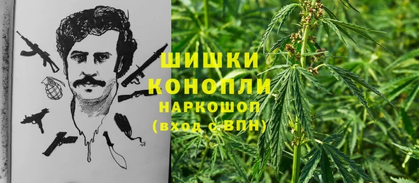 амф Краснотурьинск