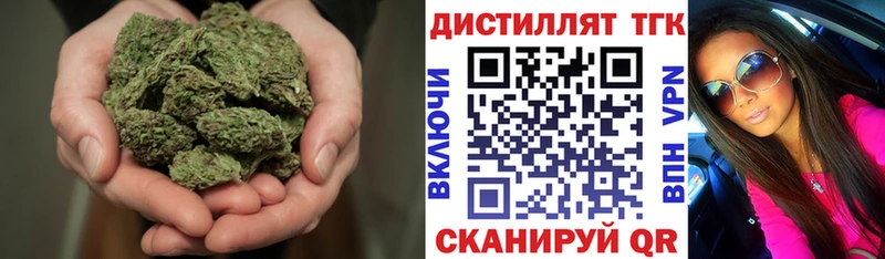 Купить где  Новоржев  ТГК концентрат 